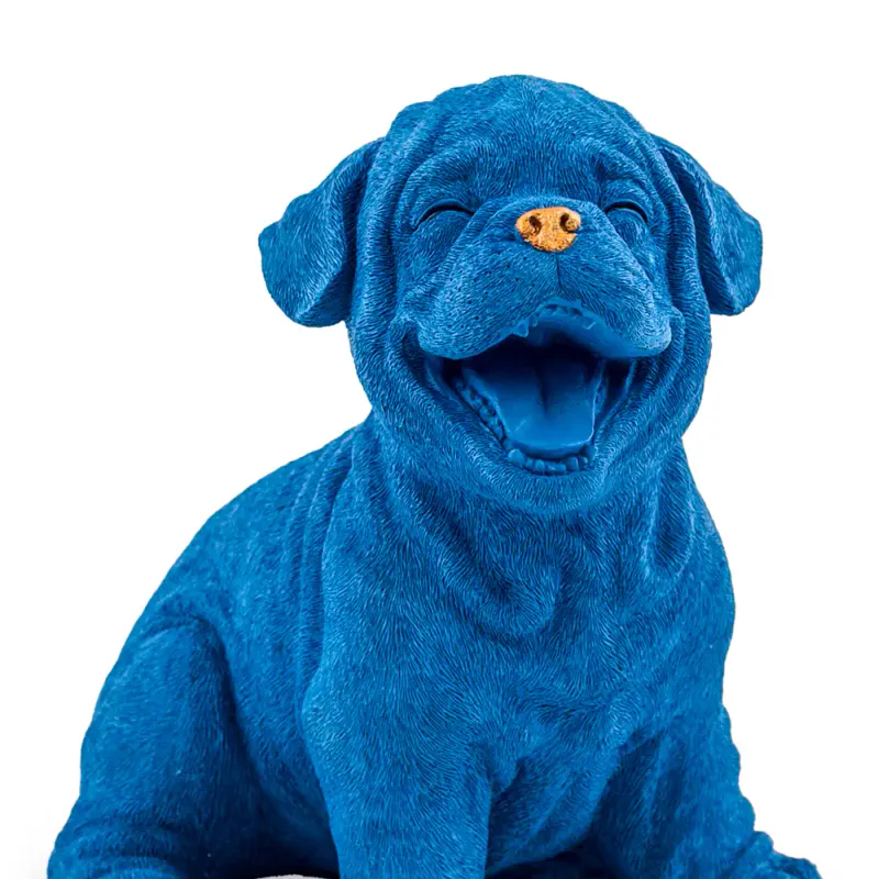 Royal Blue with Gold Details Laughing Puppy