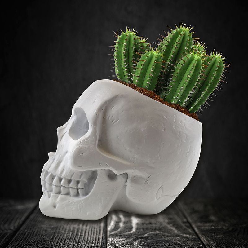 Skull Planter Cactus Grow Kit