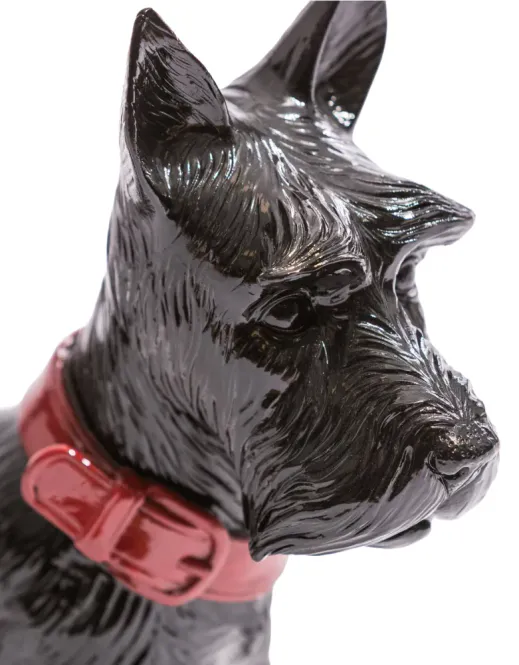 Hovedbilde Black Terrier – svart hund sparebøsse