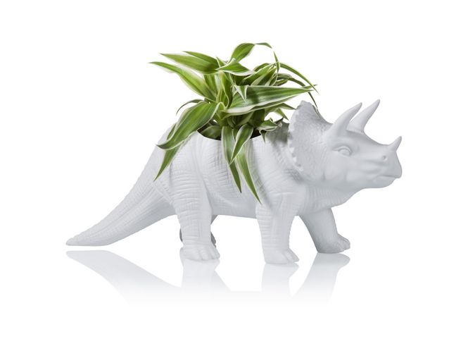 Hovedbilde Tricerapot dinosaur blomsterpotte