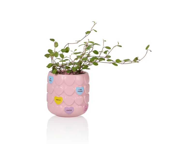 Sweet Heart Kopp – Rosa